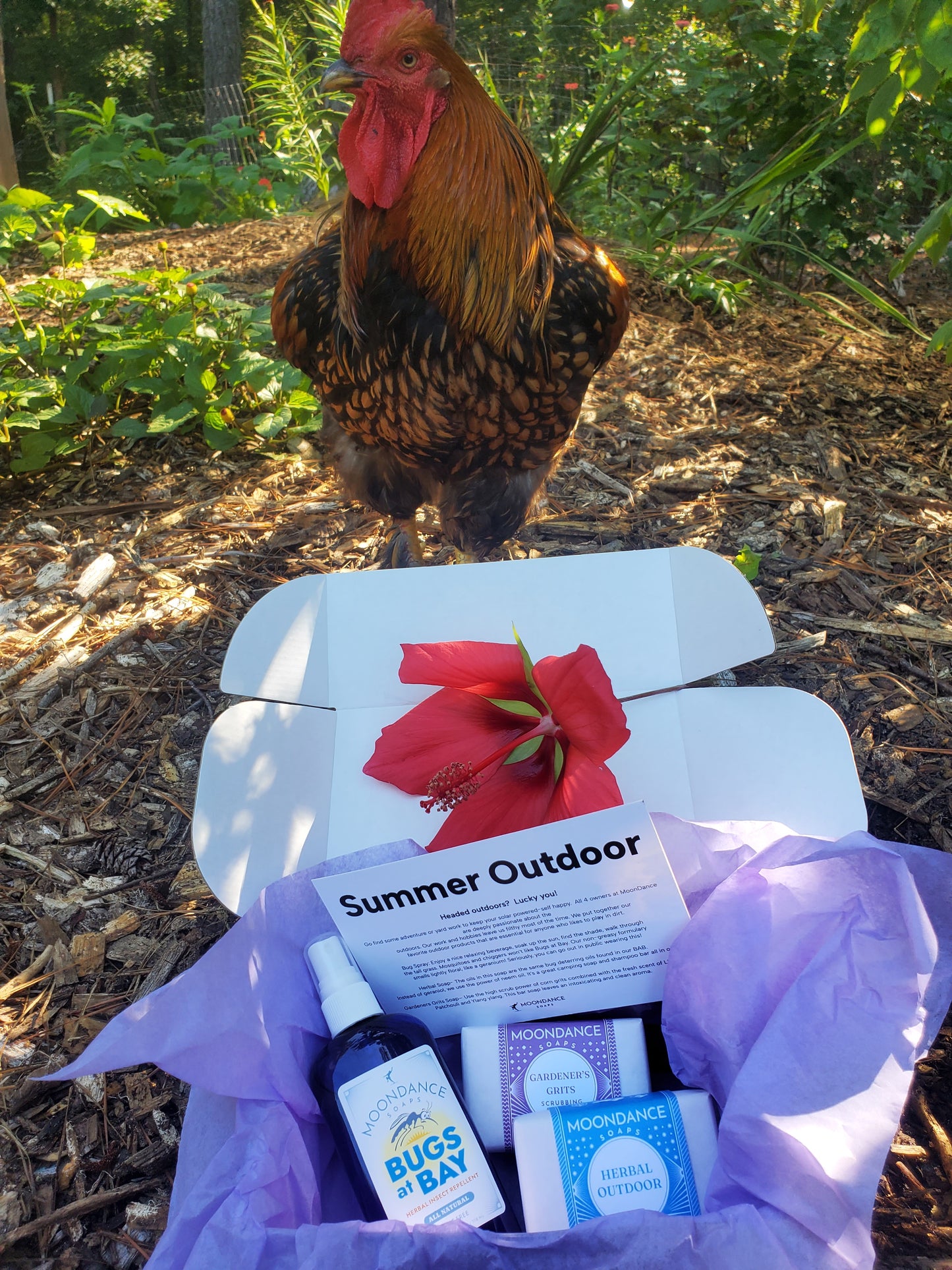 Summer Outdoor Gift Box
