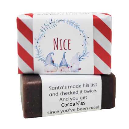 "Have You Been Nice?" Holiday Soap