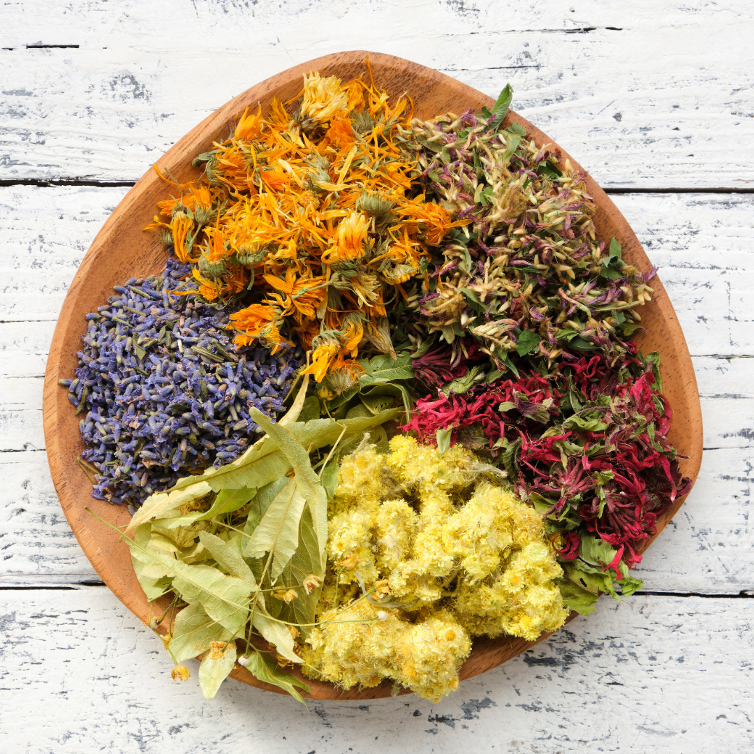 lotion-bar-shea-butter-moisturizer-herbal-remedy-tea-tree-lavender-rosewood-essential-oil